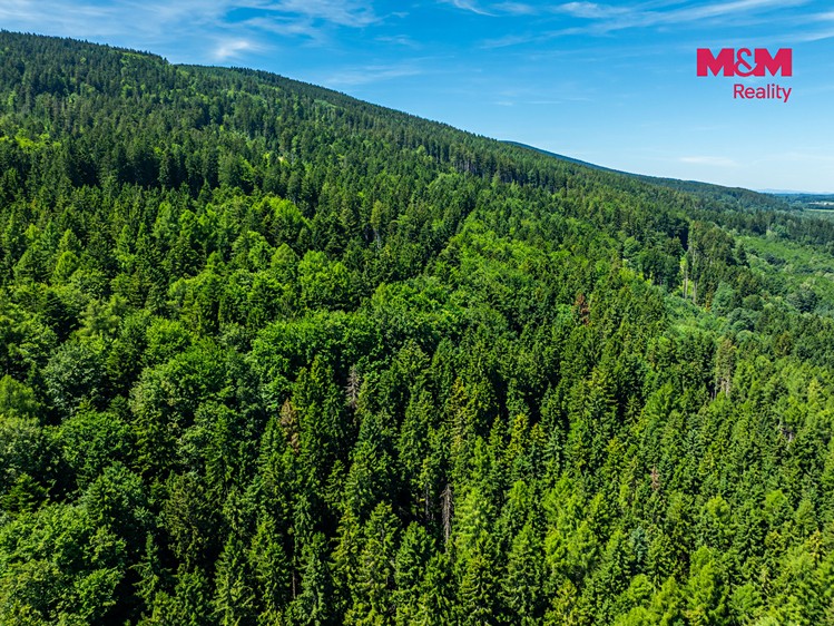Grundstück zum Kauf, 1.251 m² (21 von 24)