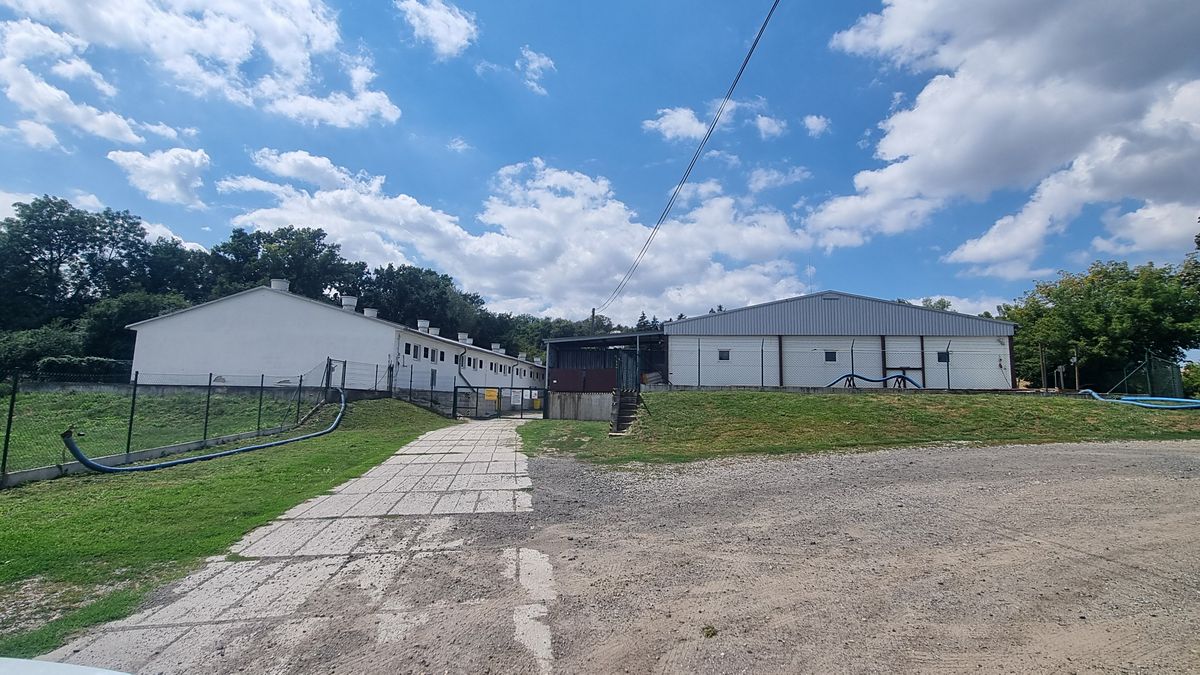 Prodej výrobní haly, prostoru 15000 m² – fotografie 4