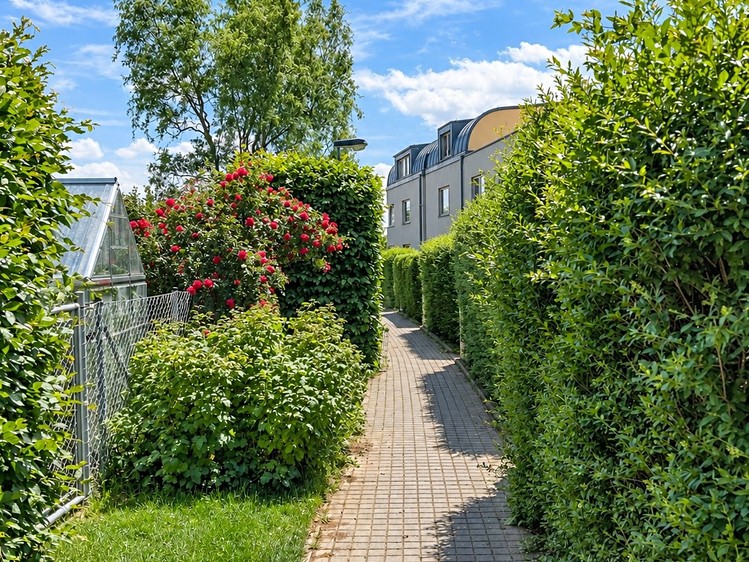 Haus zur Miete, 120 m² (29 von 32)