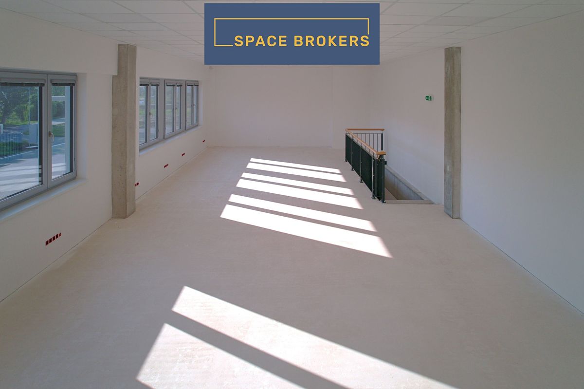 Pronájem skladového prostoru 7000 m² – fotografie 3