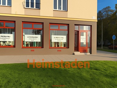 Pronájem komerčního prostoru, 208 m² (3 z 12)