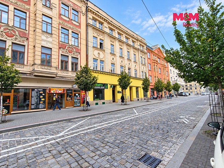 Pronájem komerčního prostoru, 40 m² (7 z 7)