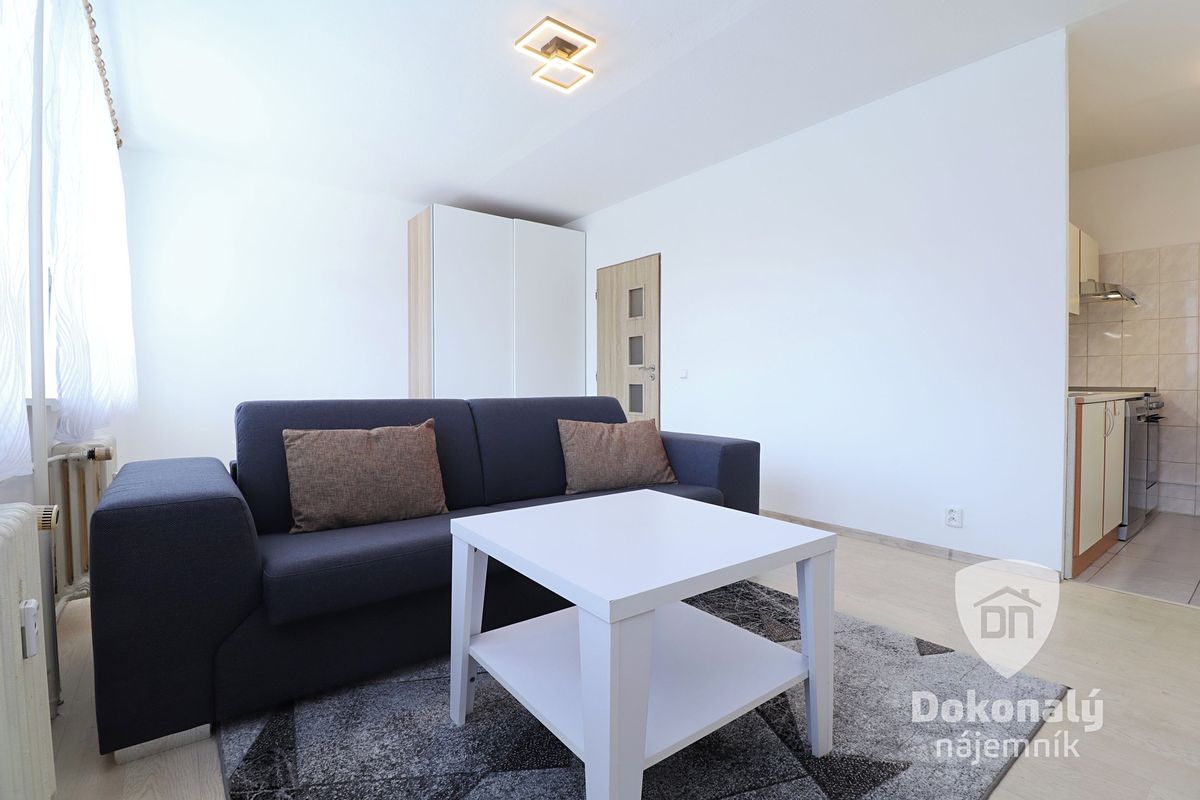 Pronájem bytu 1+kk 33 m²