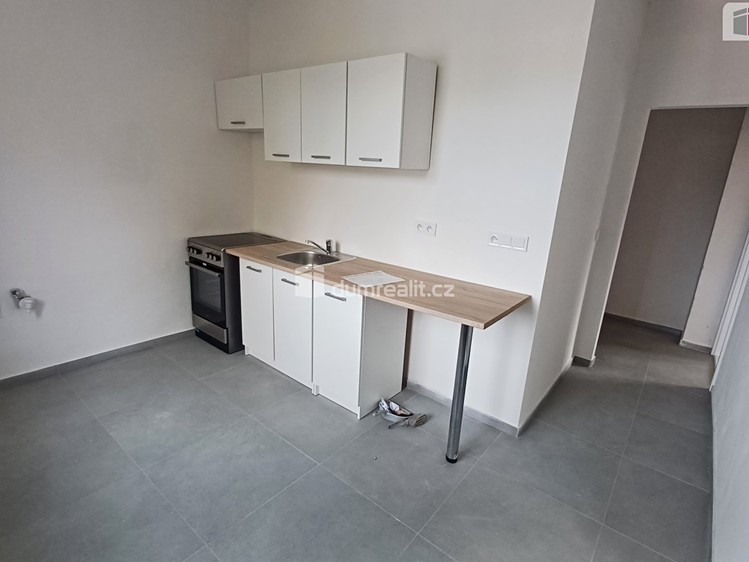 Pronájem bytu 2+1, 55 m² (1 z 25)