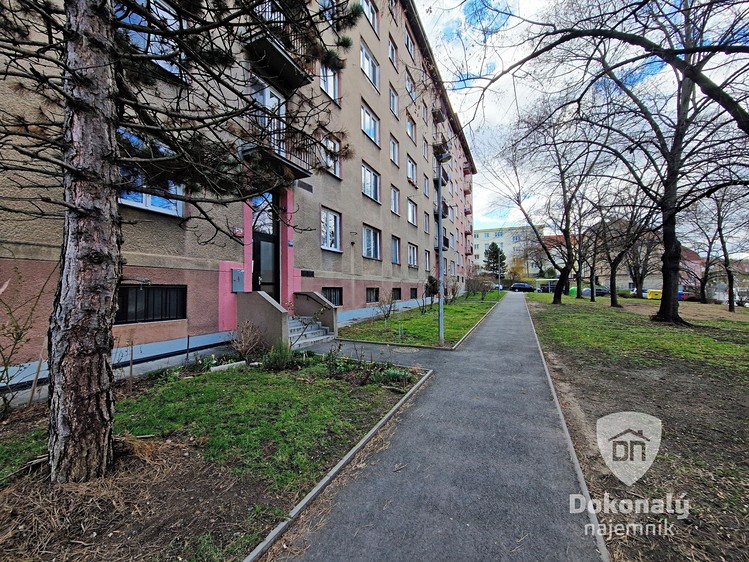 Квартира 1+kk в оренду, 22 м² (11 з 12)