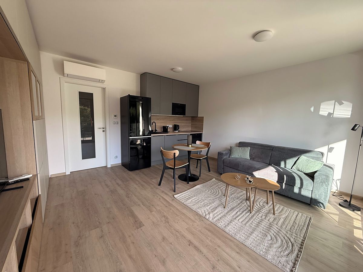 Pronájem bytu 1+kk 33 m² – fotografie 5