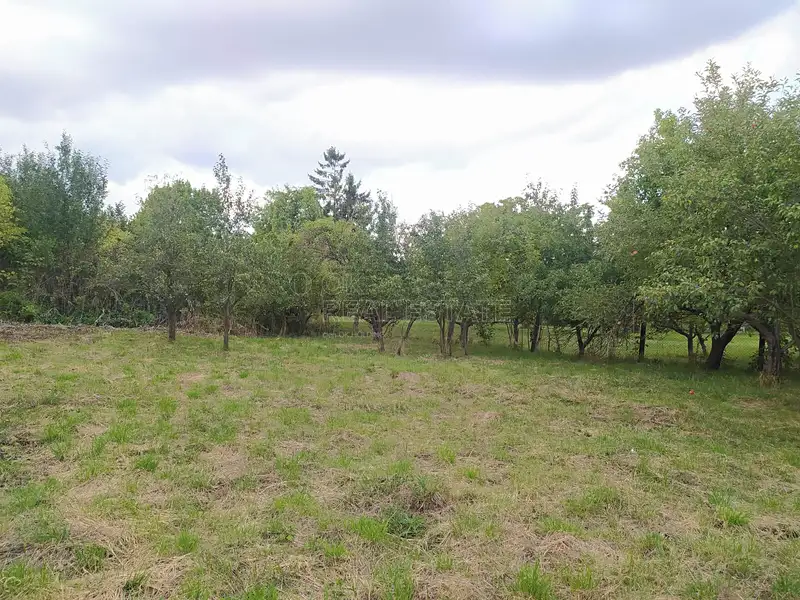 Prodej stavebního pozemku 3043 m², Hulín – náhled fotky 1