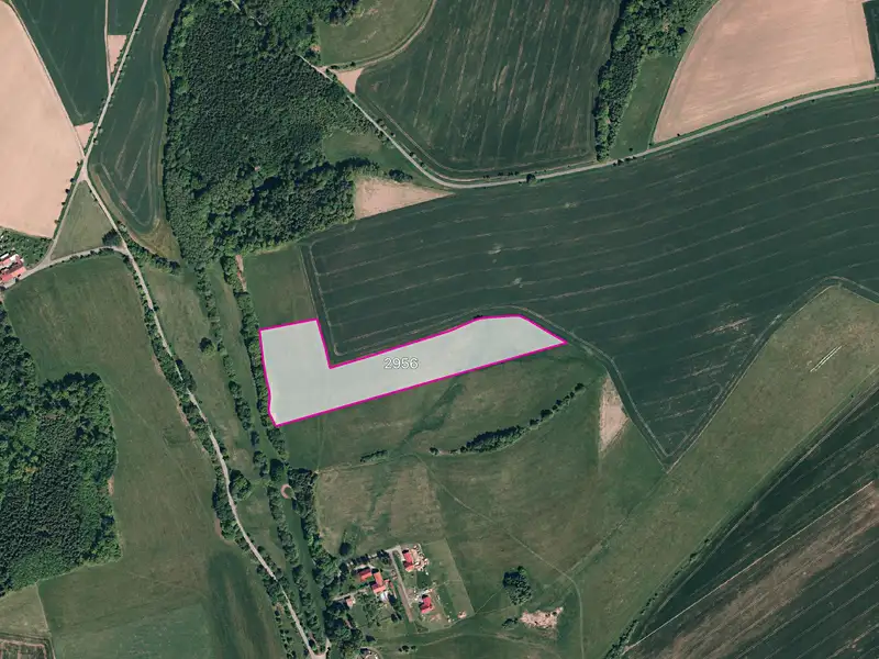 Prodej louky 28723 m², Jindřichov – náhled fotky 1