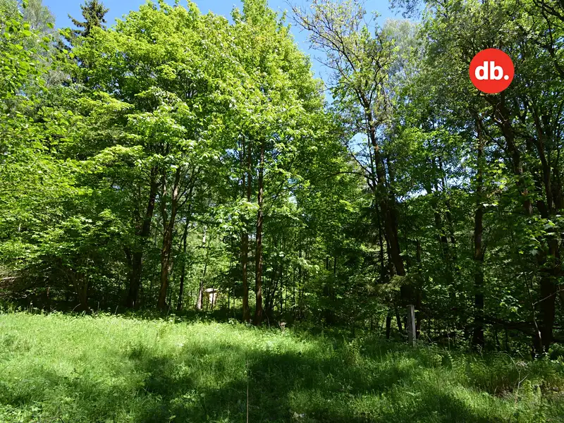 Prodej pozemku 3609 m², Merklín – náhled fotky 2