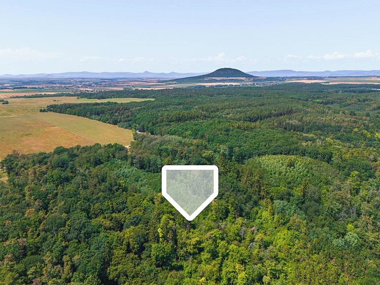Ділянка на продаж, 2 859 м² (4 з 9)