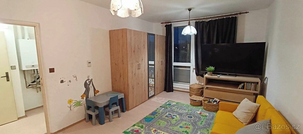 Pronájem bytu 1+1 42 m²