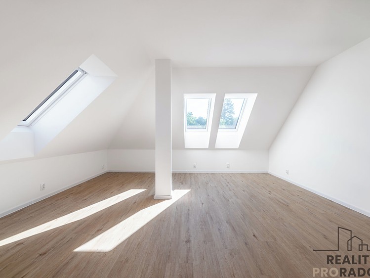 The 4+kk flat for sale, 170 m² (21 of 31)
