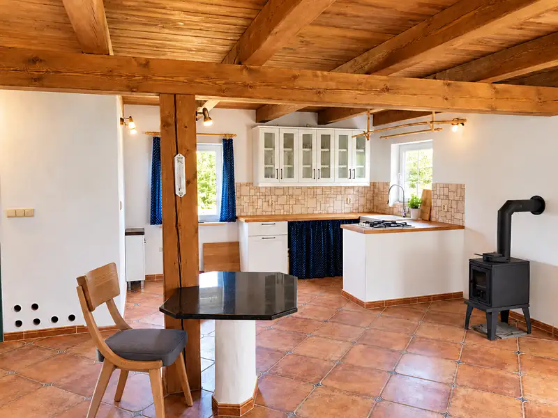 Pronájem rodinného domu 116 m², pozemek 900 m², Janovice – náhled fotky 1