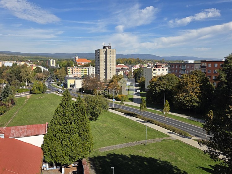 Prodej bytu 3+1, 87 m² (15 z 30)