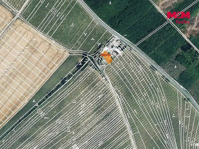 Prodej pole 300 m², Dolní Bojanovice – náhled fotky 3