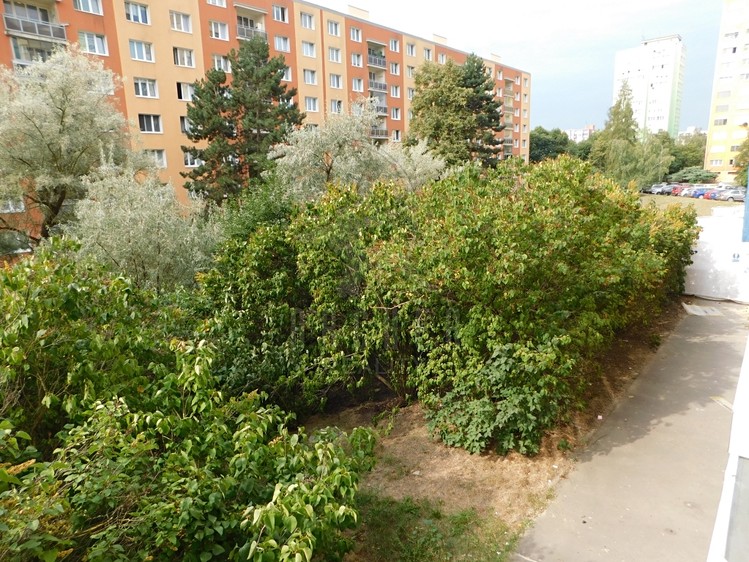 Prodej bytu 2+1, 62 m² (10 z 16)