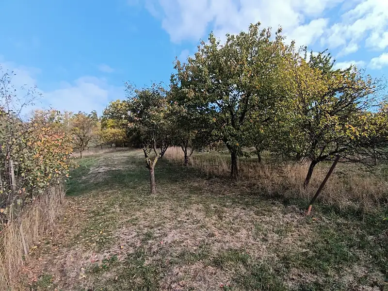 Prodej rodinného domu 75 m², pozemek 555 m², Vlčnov – náhled fotky 2