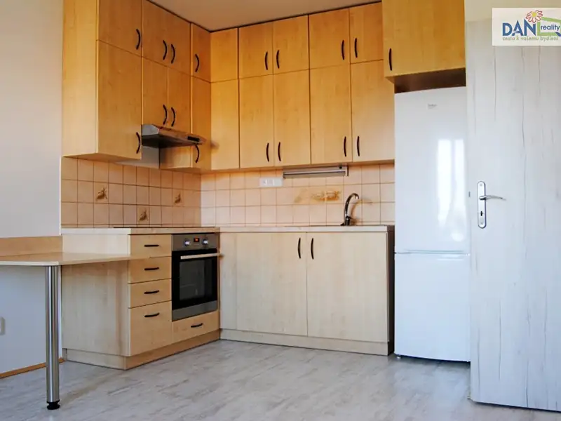 Pronájem bytu 2+kk 45 m², Plzeň – náhled fotky 1