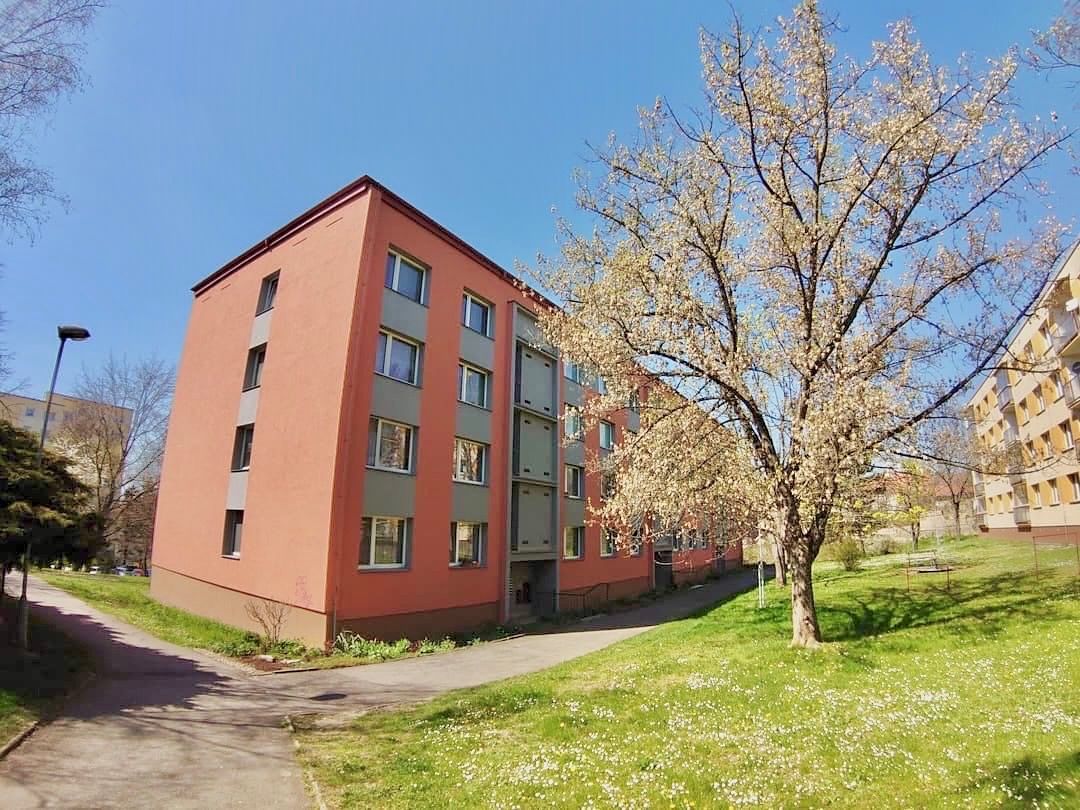 Pronájem bytu 1+1 38 m², Litoměřice – fotka 1 z 3