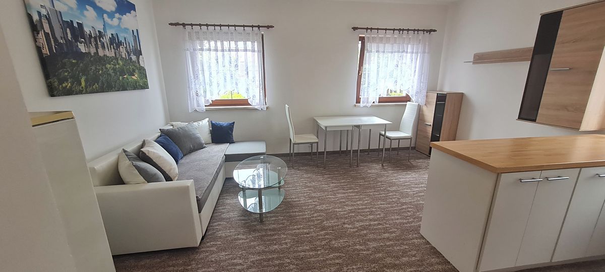 Pronájem bytu 2+kk 45 m², Karlovy Vary – fotka 1 z 3