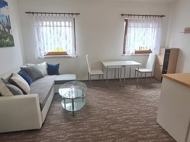 Pronájem bytu 2+kk 45 m², Karlovy Vary – náhled fotky 1