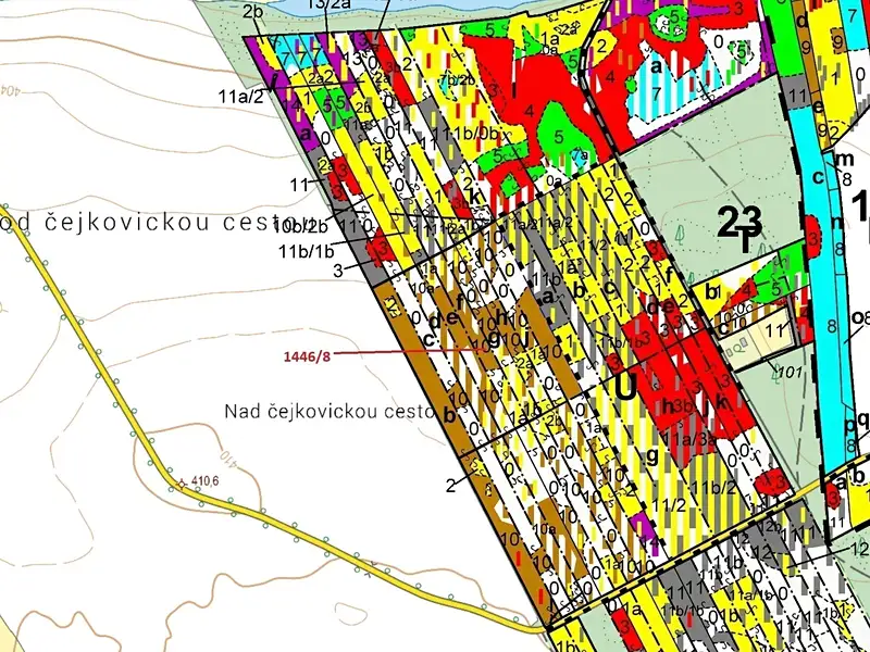 Dražba lesa 20146 m², Břehov – náhled fotky 3