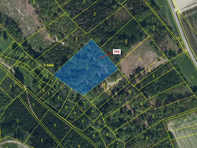 Dražba lesa 6762 m², Řepníky – náhled fotky 2