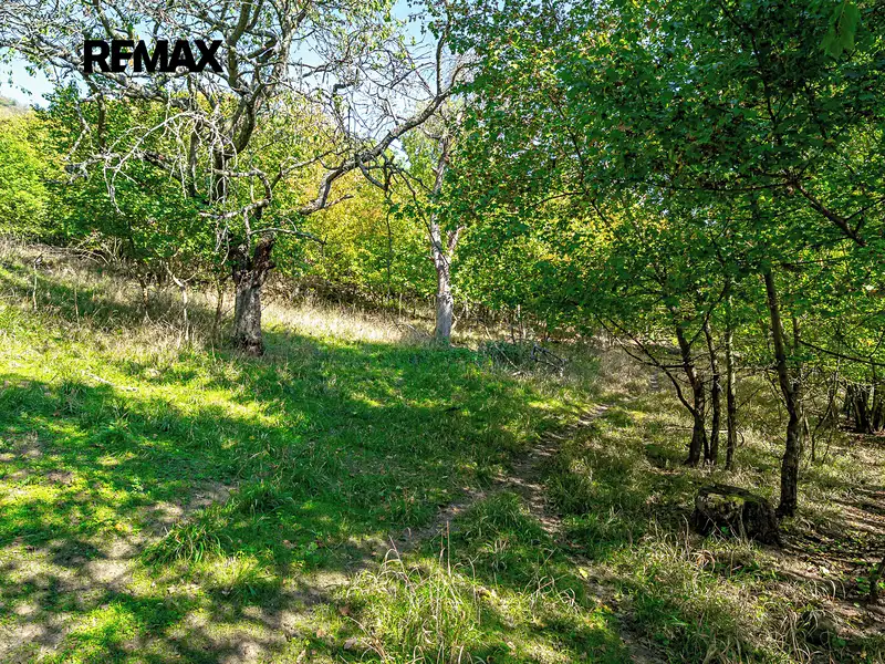 Prodej lesa 1765 m², Dolní Zálezly – náhled fotky 1
