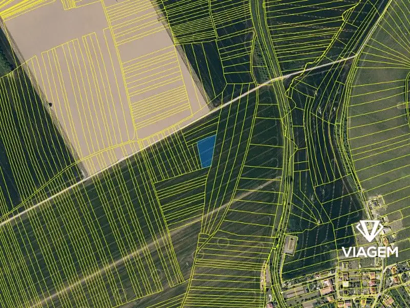 Prodej pole 2428 m², Kněžpole – náhled fotky 3