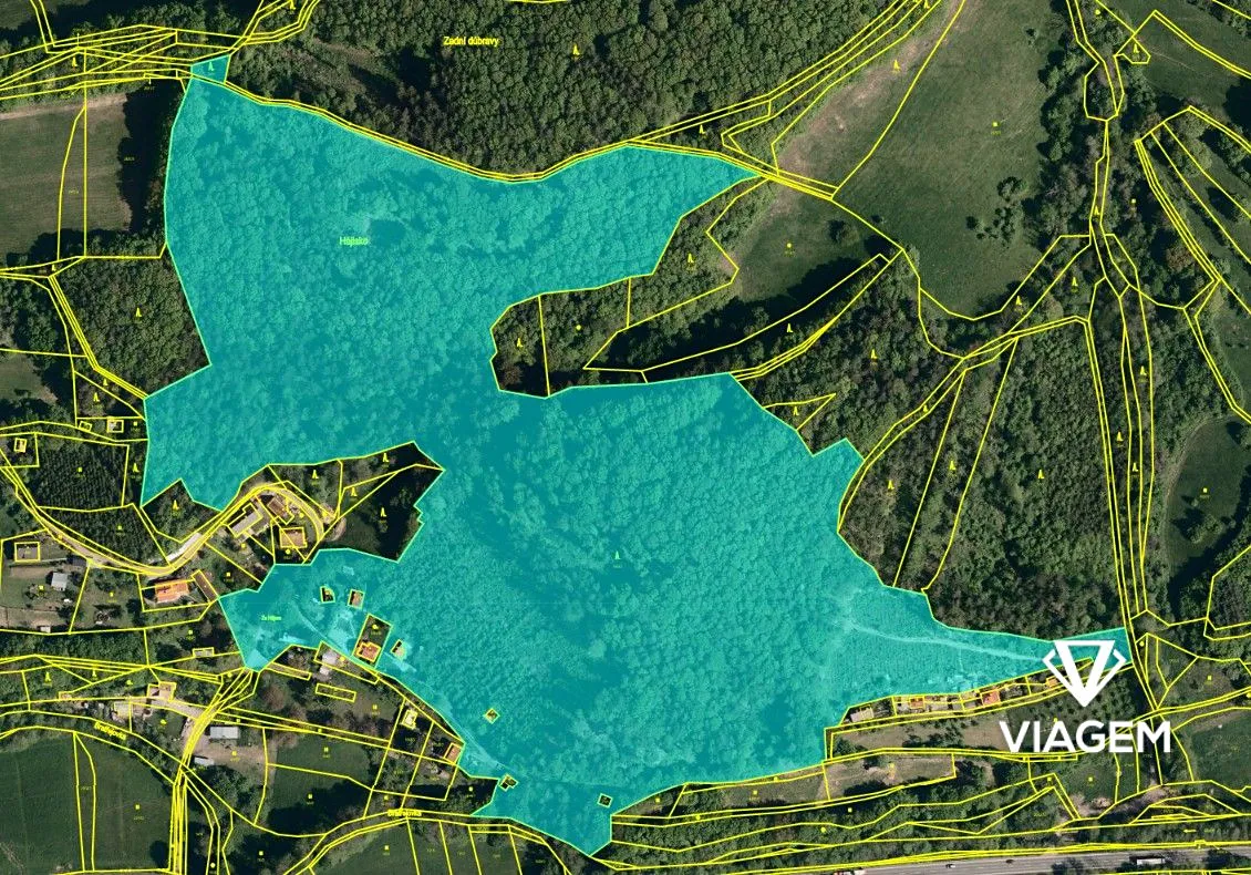 Prodej podílu 1/66 pole 8005 m²