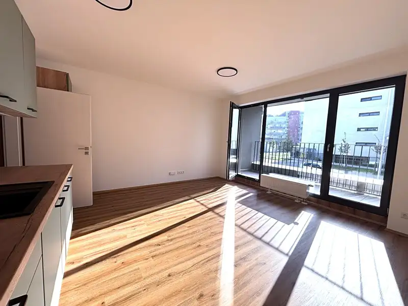 Pronájem bytu 1+kk 35 m², Plzeň – náhled fotky 3