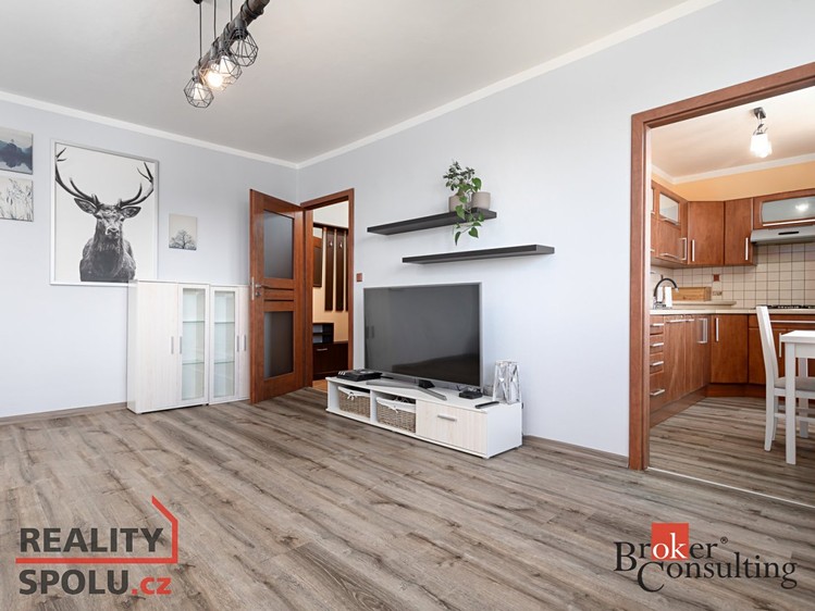 Pronájem bytu 2+1, 54 m² (1 z 17)