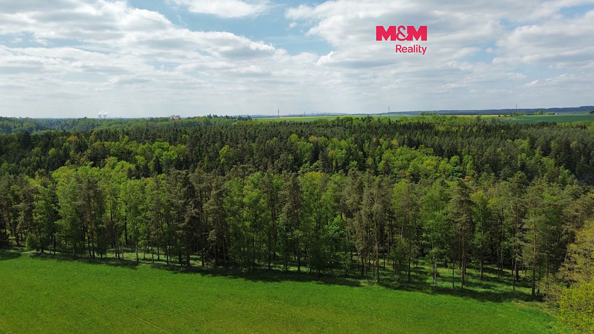 Prodej lesa 79857 m², Černýšovice – fotka 1 z 3