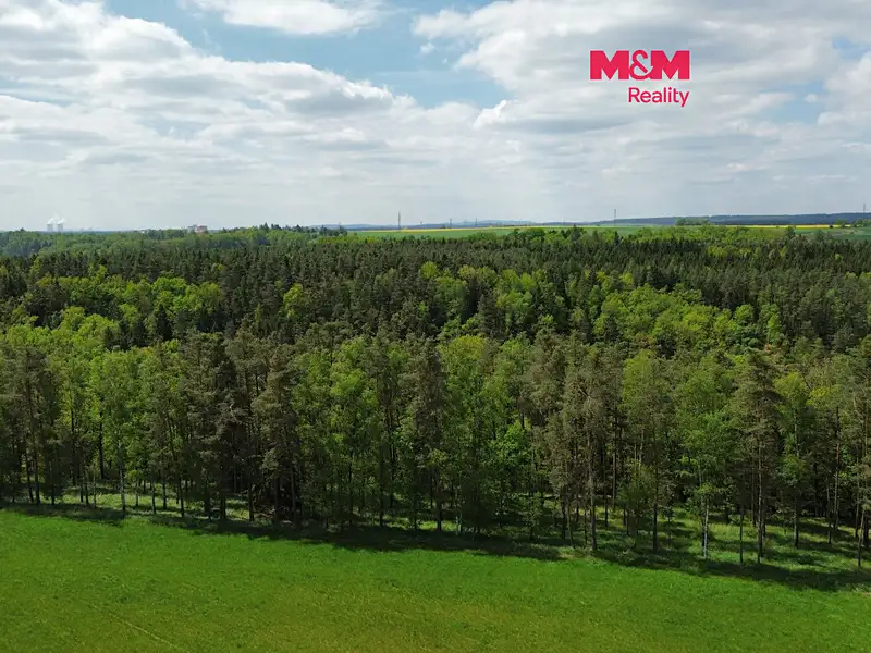 Prodej lesa 79857 m², Černýšovice – náhled fotky 1