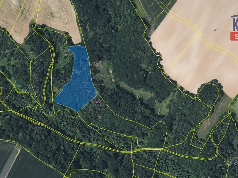 Prodej lesa 58553 m², Chorušice – náhled fotky 2