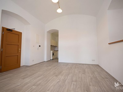 Pronájem bytu 1+kk, 33 m² (3 z 13)