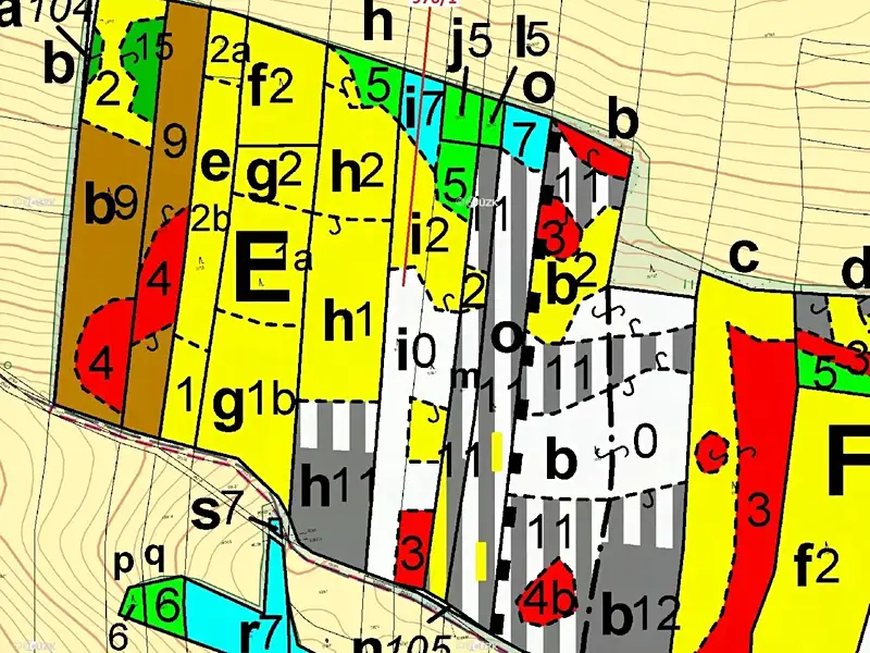 Dražba lesa 5696 m², Záhoří – náhled fotky 3