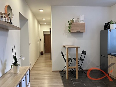Pronájem bytu 3+1, 95 m² (3 z 18)