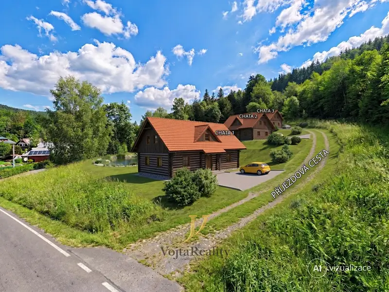 Prodej stavebního pozemku 3999 m², Ludvíkov – náhled fotky 2