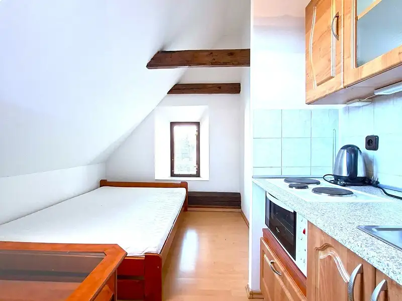 Pronájem bytu 1+kk 24 m², Benešov – náhled fotky 3