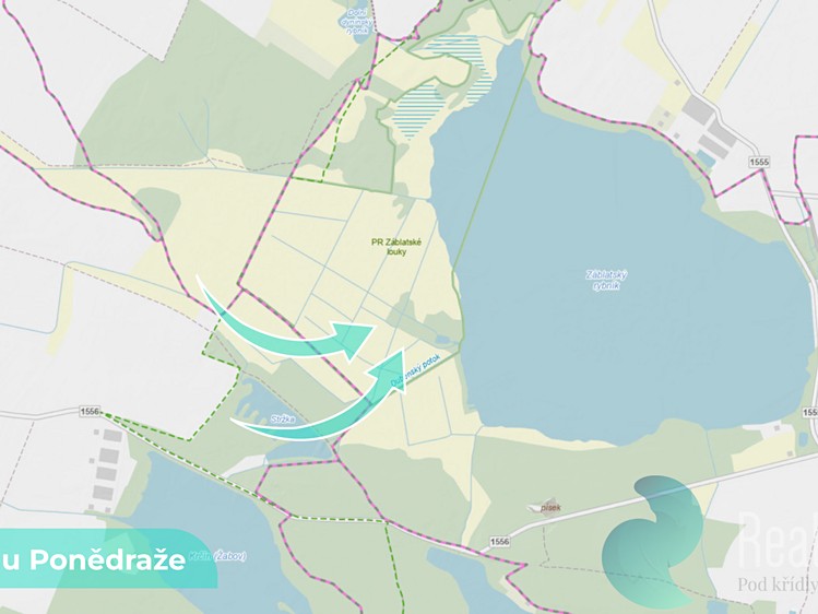 Ділянка на продаж, 4 195 м² (8 з 8)