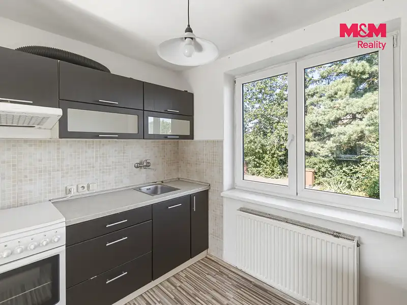 Pronájem rodinného domu 100 m², pozemek 83 m², Dolní Beřkovice – náhled fotky 3