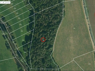 Grundstück zum Kauf, 9.664 m² (2 von 6)