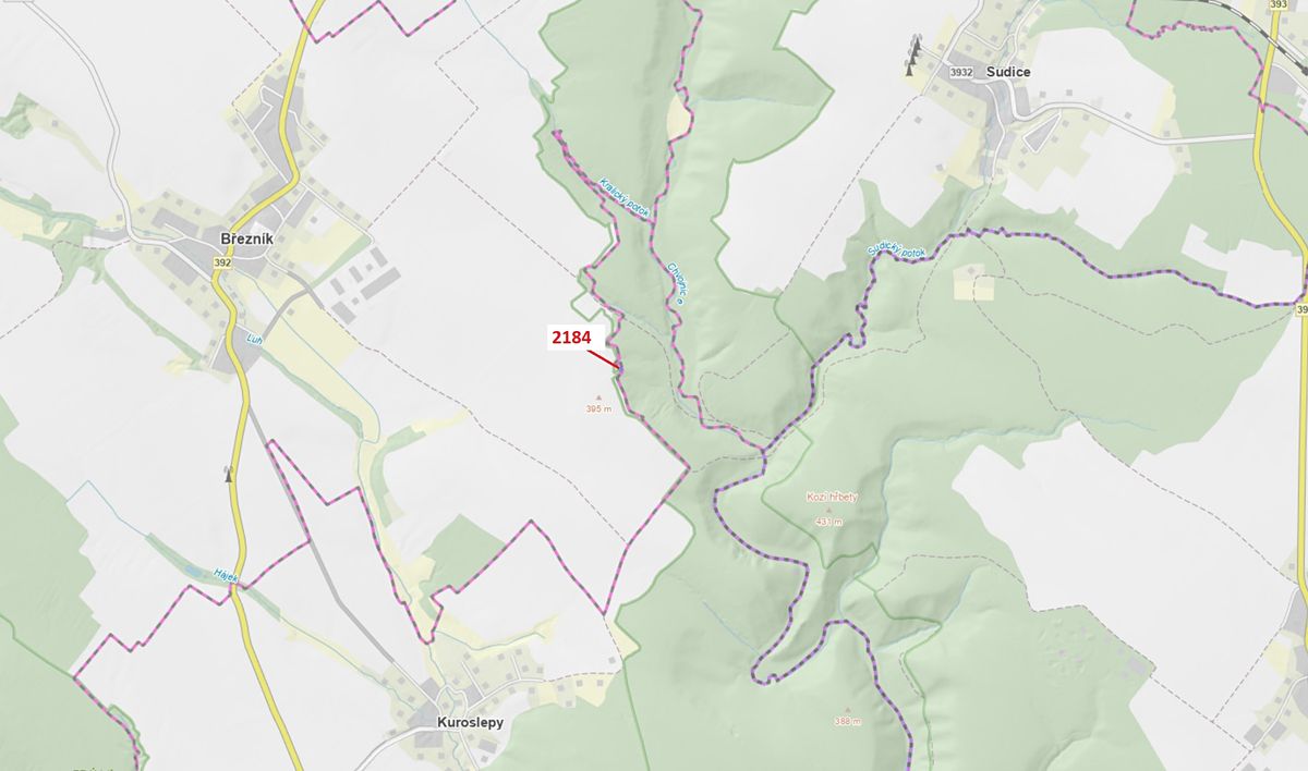 Dražba lesa 291 m², Březník – fotka 1 z 3
