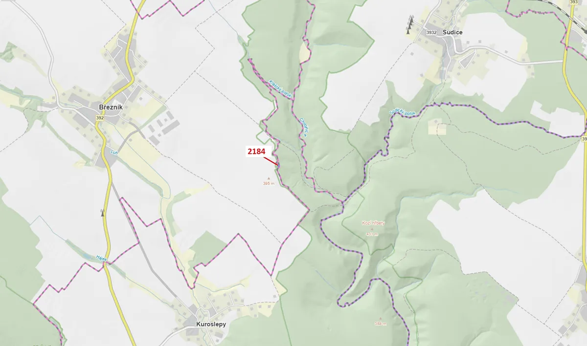 Dražba lesa 291 m²