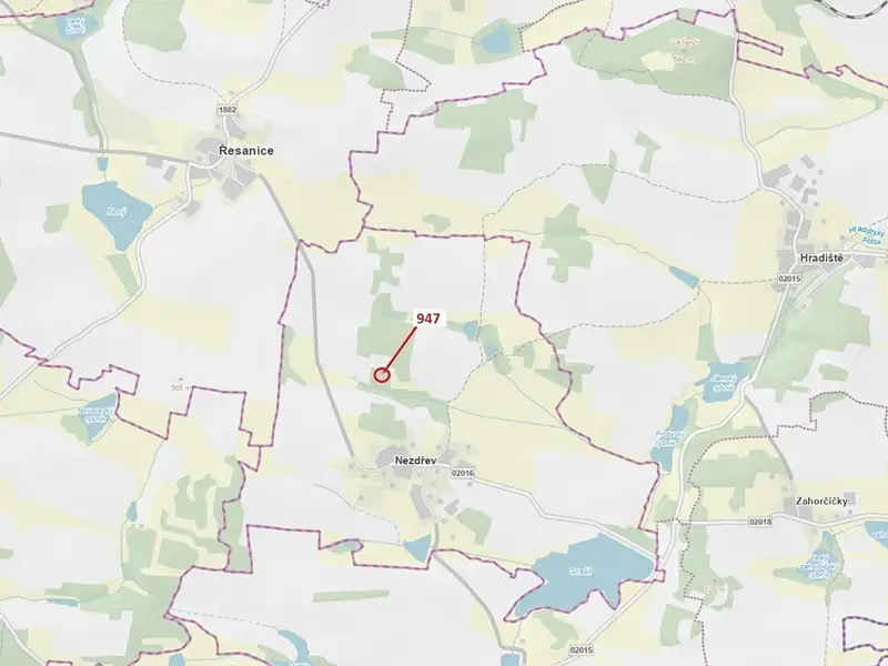 Dražba lesa 126 m², Nezdřev – náhled fotky 1