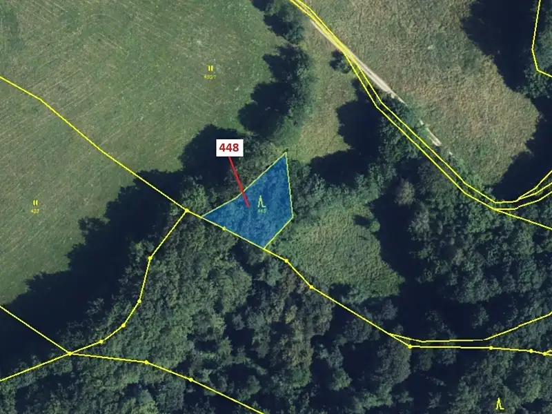 Dražba lesa 586 m², Městečko Trnávka – náhled fotky 2