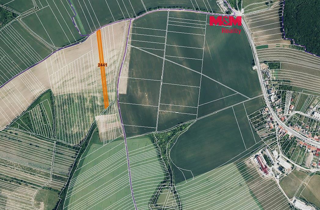 Prodej pole 719 m², Stavěšice – fotka 1 z 3