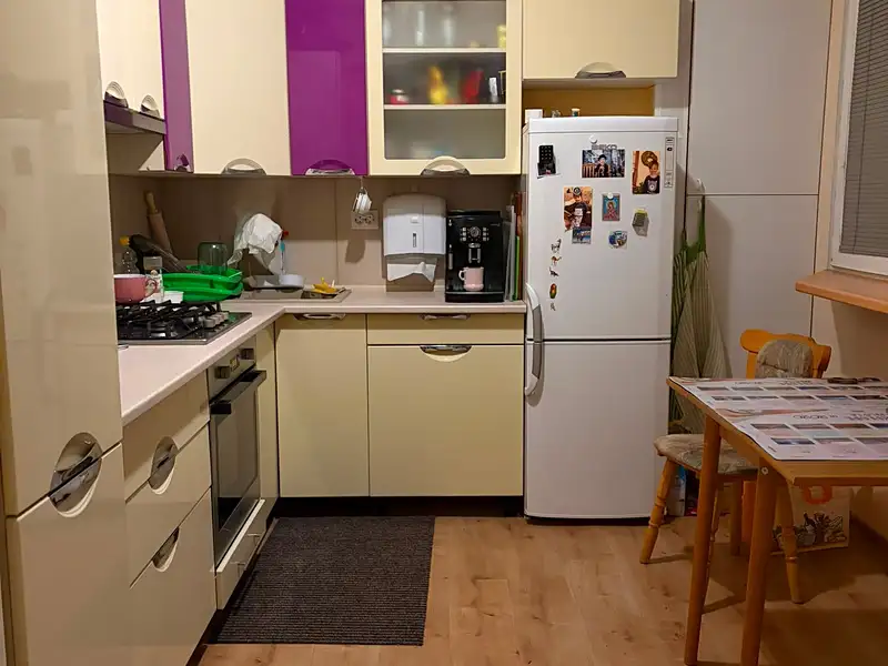 Prodej bytu 2+1 60 m², Mladá Boleslav – náhled fotky 2
