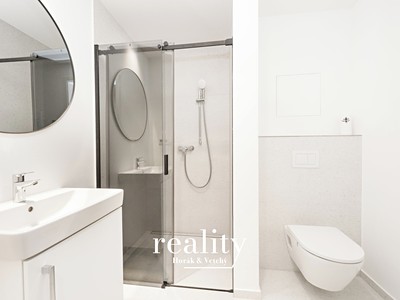 Pronájem bytu 1+kk, 35 m² (3 z 13)